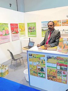 Amyra Food - Mango Pulp Products