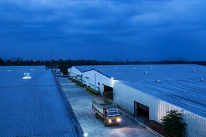 Amyra Food - Fruit Pulp Manufacturing Plant